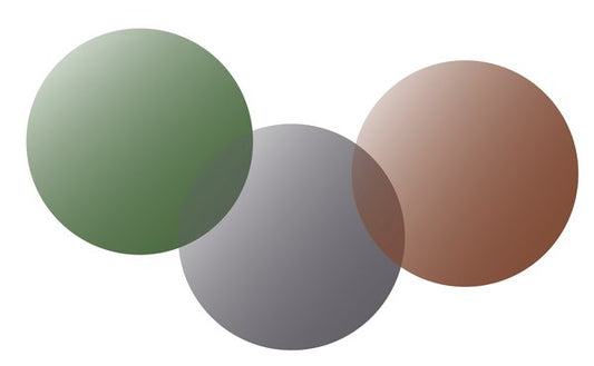 Reglaze Service for Green Sunglass Tint Varifocal Lenses